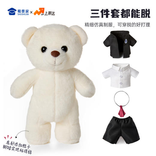 【律师站姿熊】可定制创意毛绒职业小熊公仔儿童玩具服装可脱送礼礼物 商品图3