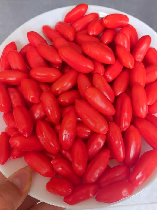 【现采现发 头茬鲜果】限量头茬鲜枸杞 宁夏中宁现摘现发 大颗粒鲜红枸杞 头茬大果500g（仅售1000份，预计7月15日下架） 商品图8