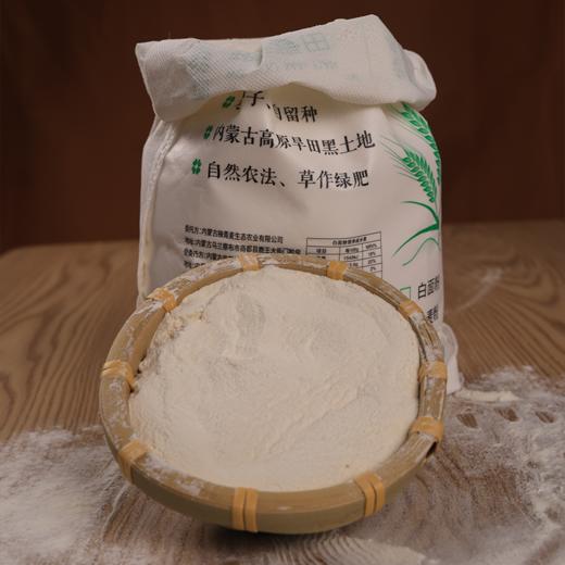 【全麦面粉/75白面面粉】5斤装 生态掖青麦  自然农耕种植 商品图5