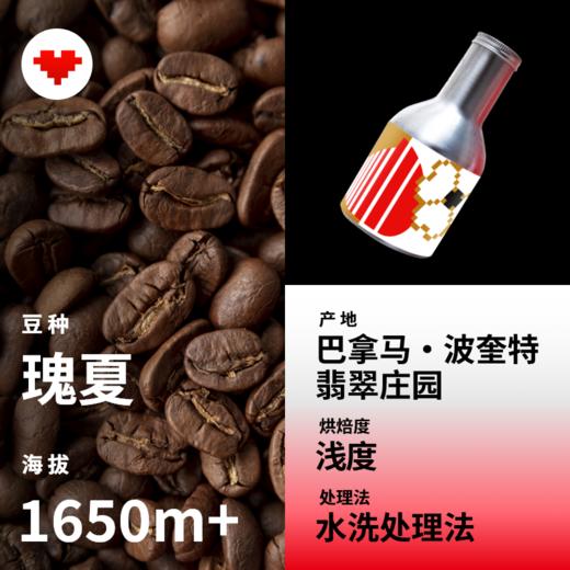 捌比特 巴拿马·波奎特 翡翠庄园 红标瑰夏 水洗 浅度烘焙 精品咖啡豆/100g 商品图3