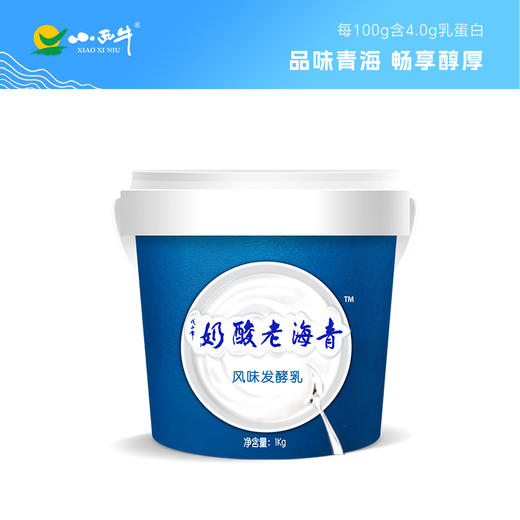【光明&小西牛】顺丰包邮 青海桶装老酸奶4.0g蛋白原味益生菌酸奶 1KG*1桶 商品图0