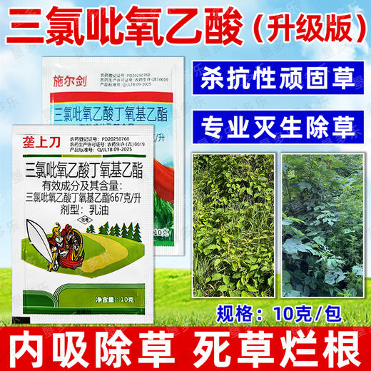三氯吡氧乙酸杀藤类藤蔓灌木葛根络石藤专用农药除草剂老牌子正品 商品图4