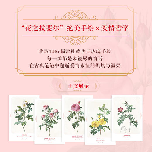 玫瑰情书 雷杜德的爱情图鉴 雷杜德玫瑰图鉴画集画册 手绘玫瑰图谱玫瑰全书玫瑰之书 商品图1