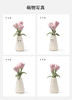 McHugs 优雅郁金香花瓶 商品缩略图3