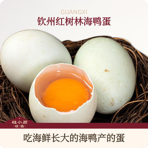钦州·红树林海鸭蛋 商品图0