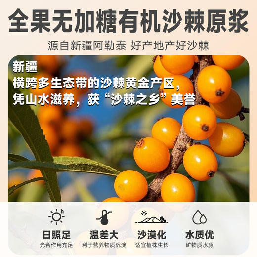 炖颜有机沙棘原浆 商品图2
