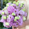 A通海 洋桔梗 波浪紫 商品缩略图0