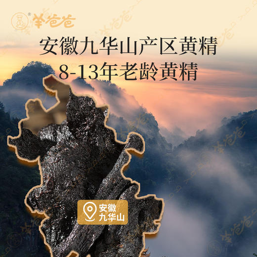 【九制黄精】几养 | 开袋即食|九蒸九晒  气阴两虚必备  效期至2026年6月（保质期6个月） 商品图2