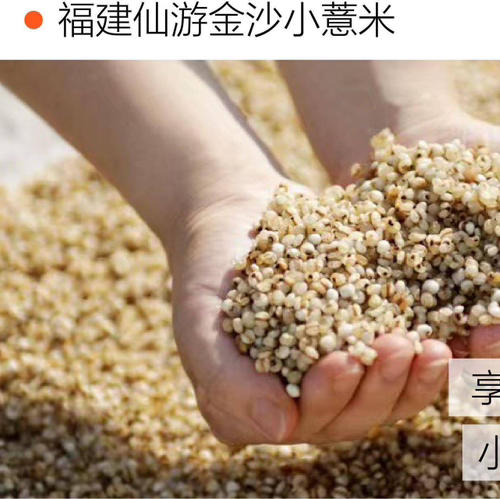 三蒸三晒红豆薏米芡实茶 （330克/瓶*2） 商品图2