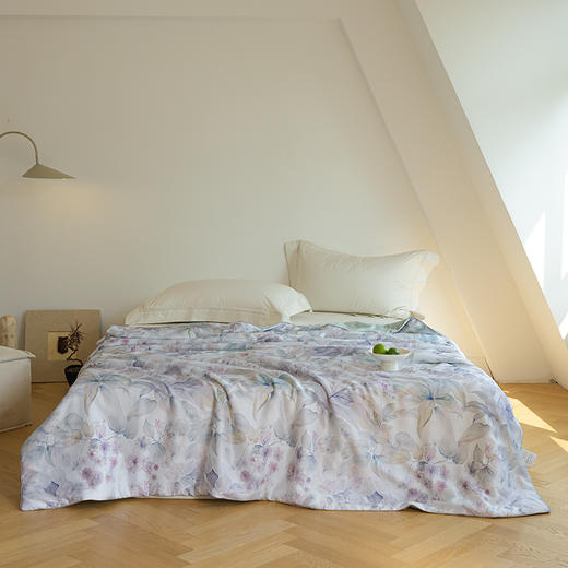 自然醒60支奥地利进口兰精天丝数码印花夏被HS 商品图2