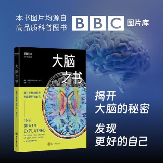 大脑之书 商品图1