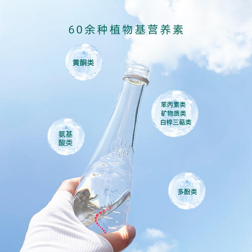 嘉桦白桦树汁原液饮品NFC原汁天然植物饮料0脂低卡0蔗糖320ML*6瓶 商品图3