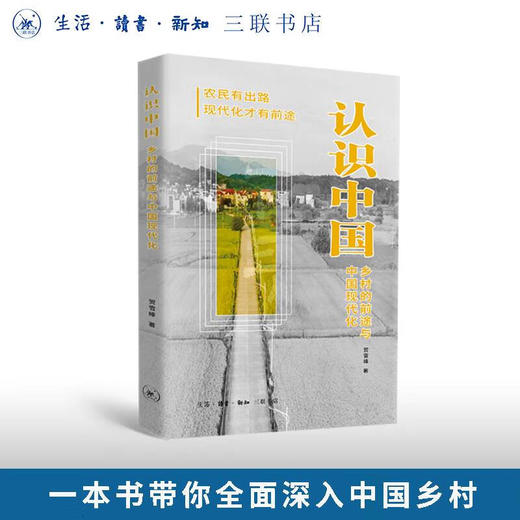 认识中国：乡村的前途与中国现代化 贺雪峰 著 三联书店旗舰店 商品图0