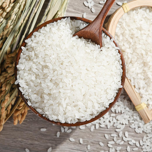 稻之金有机五常大米5KG 商品图4