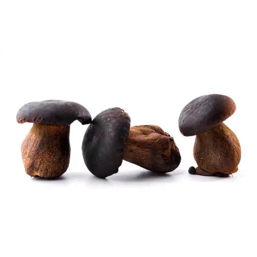 林端上品 鲜制云南野生黑牛肝菌 商品图0