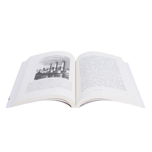 深解地球 地球46亿年的成长简史 马丁·拉德维克 著 新知文库 三联书店 商品图1