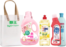 狮王洗护家清套装