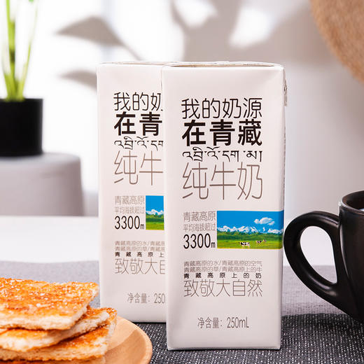 【光明&小西牛】青海纯牛奶 盒装纯牛奶 高原奶特惠量贩装250ml*20盒/箱 商品图4