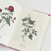 玫瑰情书 雷杜德的爱情图鉴 雷杜德玫瑰图鉴画集画册 手绘玫瑰图谱玫瑰全书玫瑰之书 商品缩略图4