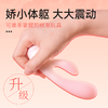 羞羞哒糯糯棒女性用震动按摩棒情趣成人用品女生自慰神器高潮快乐玩具 商品缩略图4