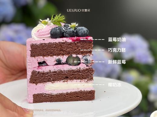 椰奶蓝莓切块 商品图1