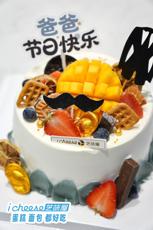 父爱如山海（FN27） 商品图1