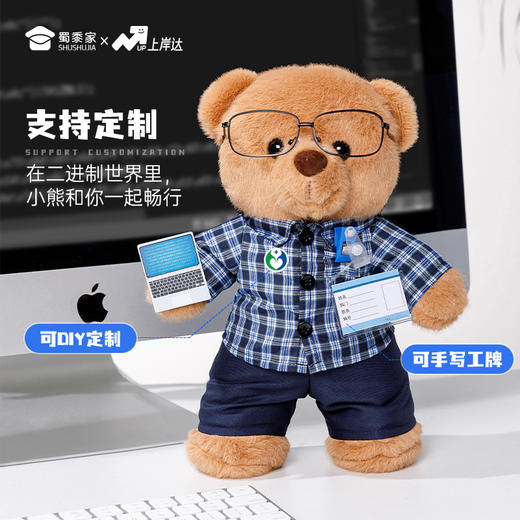 【程序员站姿熊】可定制创意毛绒职业小熊公仔儿童玩具服装可脱送礼礼物 商品图1