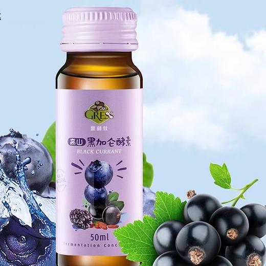 果利仕 高山黑加仑酵素 商品图1