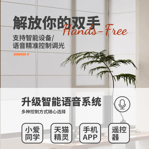 【韩式罗马帘】金蝉韩式罗马帘帘(可升级电动) 商品图2