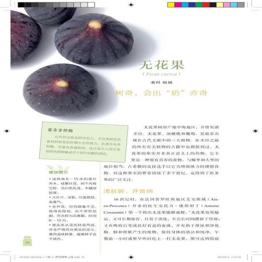 药用植物 植物文化系列 塞尔日 沙 著 植物文化史 三联书店 商品图2