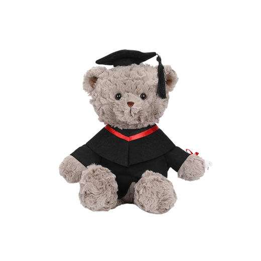 McHugs 毕业关心熊 25cm 商品图0