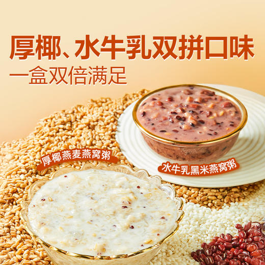 【限时一口价29.9元】鲜炖燕窝粥1.2kg 商品图3