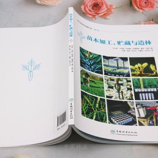 苗木加工、贮藏与造林 &2929 商品图6