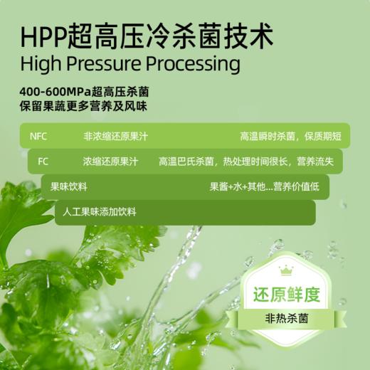 【鲜果冷榨】HPP西芹汁 245ml*1瓶 果蔬轻食轻盈口感 商品图3