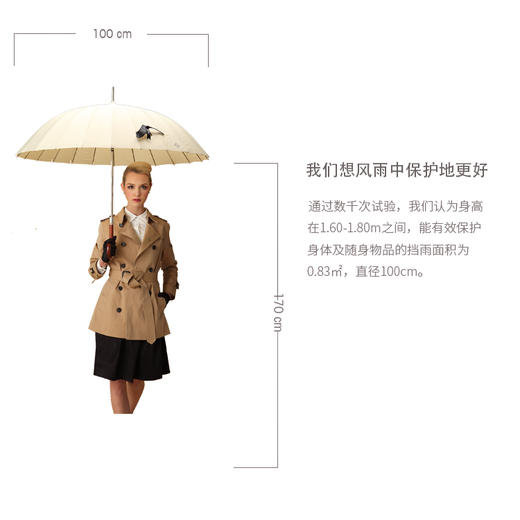 枫丹白露 24骨直骨自动抗风女士经典伞 商品图3