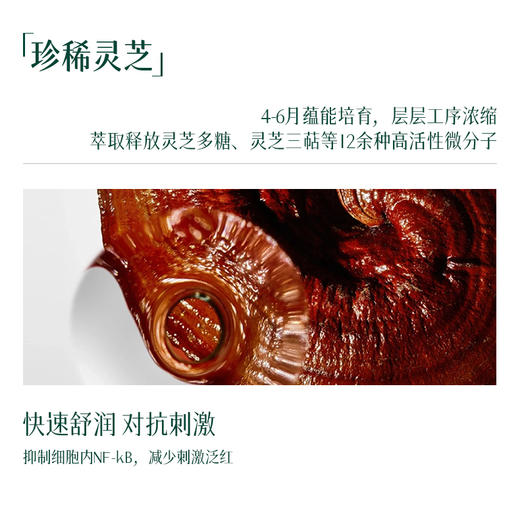 平价优选：芳姐强推灵芝孢子水墨洁肤油meonov自然启蒙 商品图8