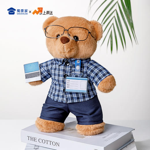 【程序员站姿熊】可定制创意毛绒职业小熊公仔儿童玩具服装可脱送礼礼物 商品图9