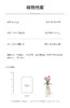 McHugs 优雅郁金香花瓶 商品缩略图2