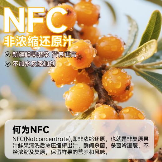 炖颜有机沙棘原浆 商品图1