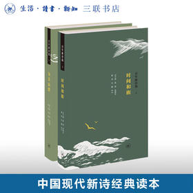 百年新诗选（上下）洪子诚 著 中国现代诗词散文 三联书店