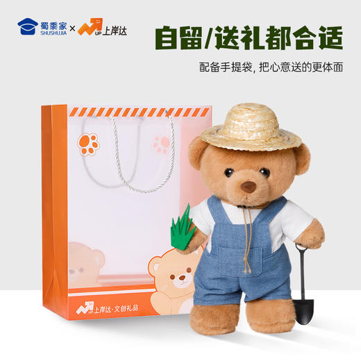 【农科站立小熊】创意毛绒小熊公仔儿童玩具服装可脱送礼礼物 商品图5