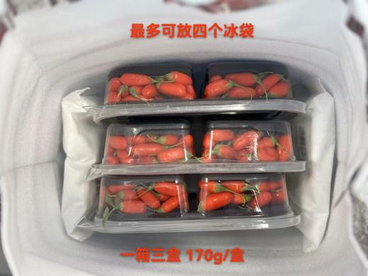 【现采现发 头茬鲜果】限量头茬鲜枸杞 宁夏中宁现摘现发 大颗粒鲜红枸杞 头茬大果500g（仅售1000份，预计7月15日下架） 商品图5