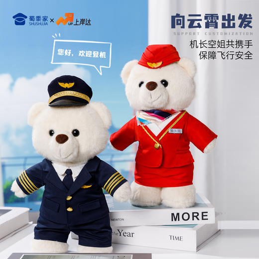 【机长&空姐站姿熊】可定制创意毛绒职业小熊公仔儿童玩具服装可脱送礼礼物 商品图2