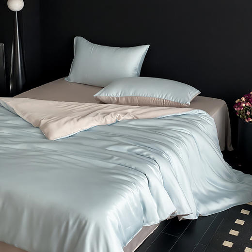 【热卖推荐】自然醒A类奥地利进口60支兰精天丝纯色双拼四件套HS 商品图5