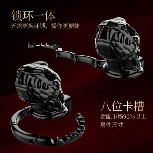 索迹 黑龙头贞操锁 商品图4