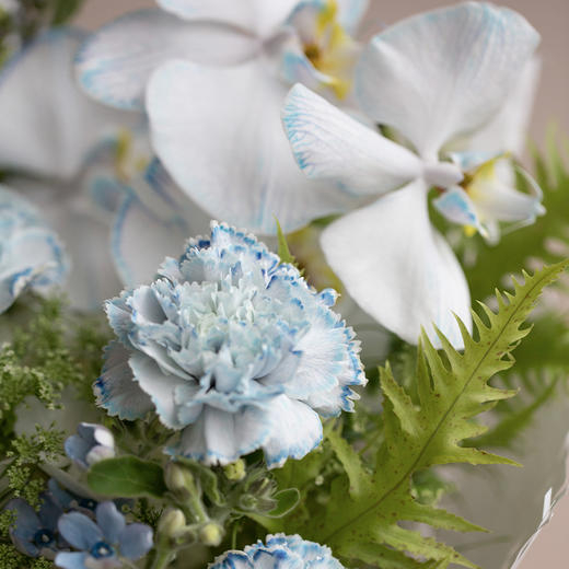 巨蟹座4款幸运花束｜十二星座随心定制系列 商品图4