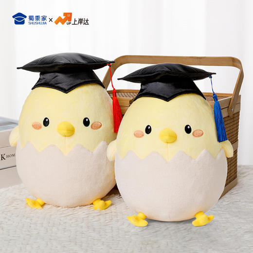 【毕业蛋公仔（可定制）】创意毛绒公仔摆件毕业送礼礼品礼物 商品图8