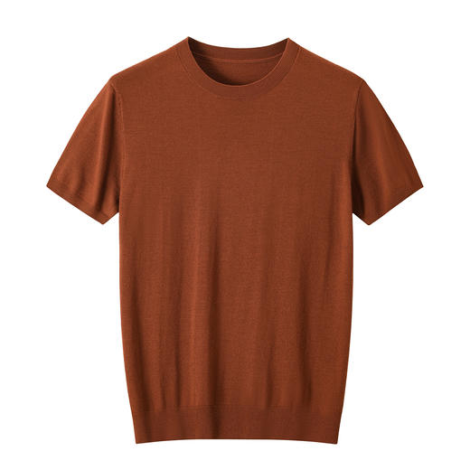 男款精纺羊绒短袖 商品图1