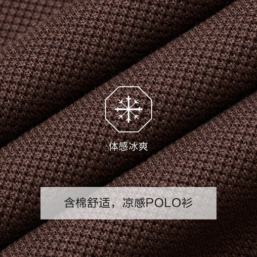 九牧王 凉感POLO衫 夏咖啡扁机领标准版短袖POLO衫 JT2E20260 商品图4