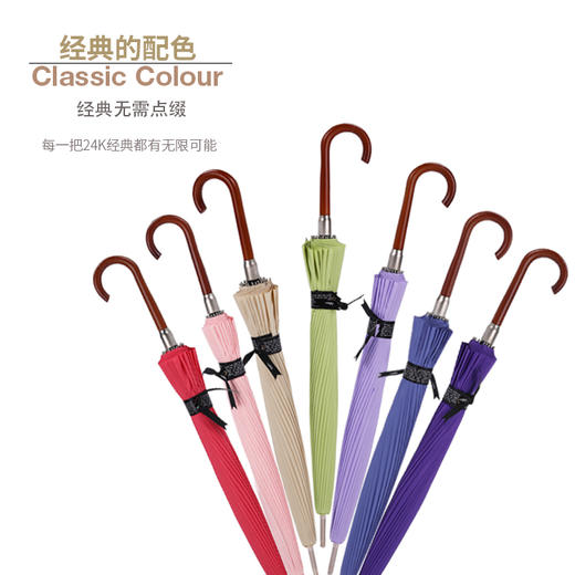 枫丹白露 24骨直骨自动抗风女士经典伞 商品图1